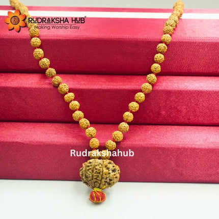 Rudraksha for Rahu Dosh