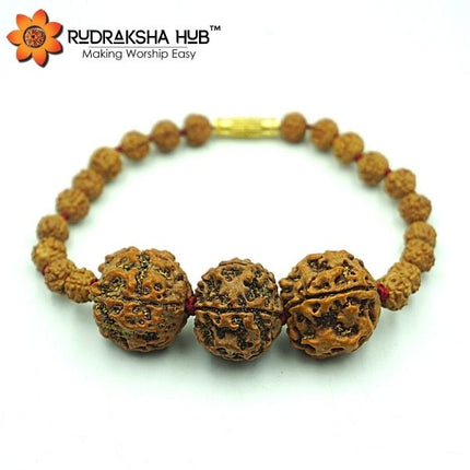 Rudraksha for Students