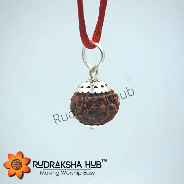 10 Mukhi Rudraksha Silver Pendant