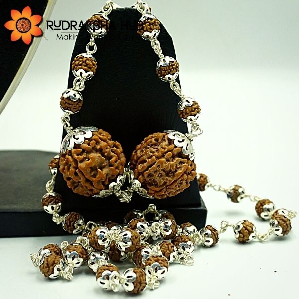 Rudraksha for Health and Wealth