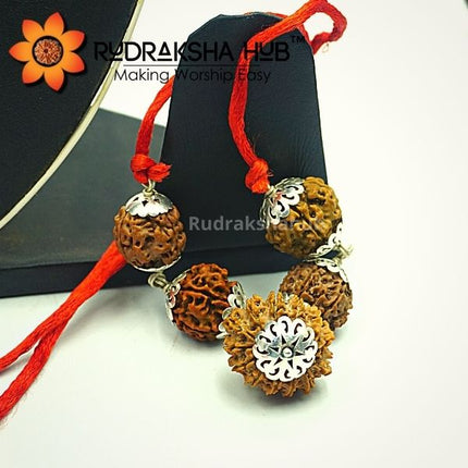 Rudraksha for Early Marriage