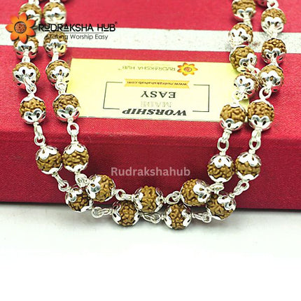 Rudraksha For Good Luck