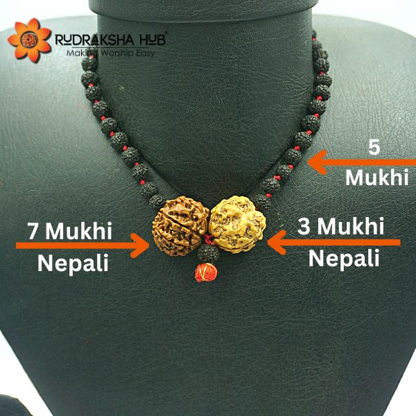 Rudraksha for Health and Safety