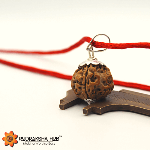 6 Mukhi Rudraksha Silver Pendant