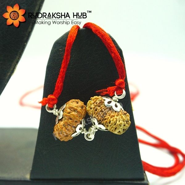 Rudraksha for Marriage and Health