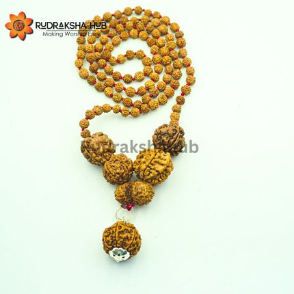 Rudraksha for Health, Career And Family
