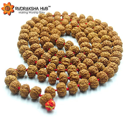 Rudraksha Jaap Mala 10mm