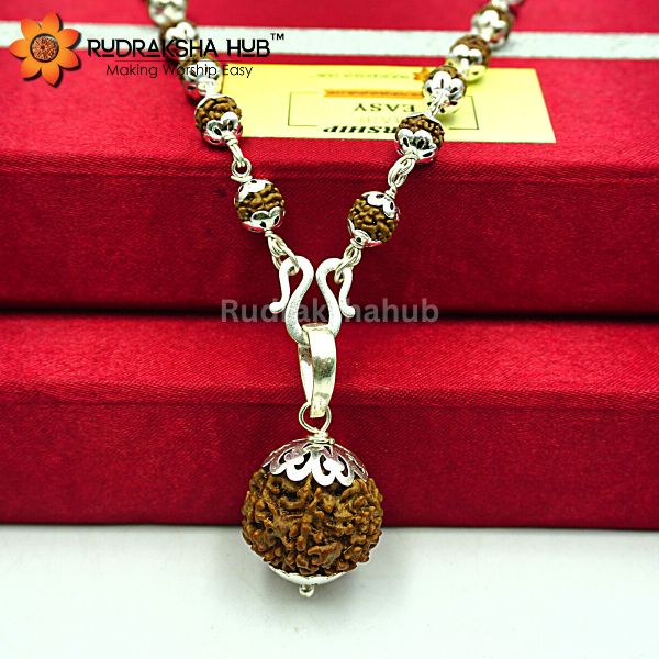 7 Mukhi Rudraksha pendant in Pure Silver Mala