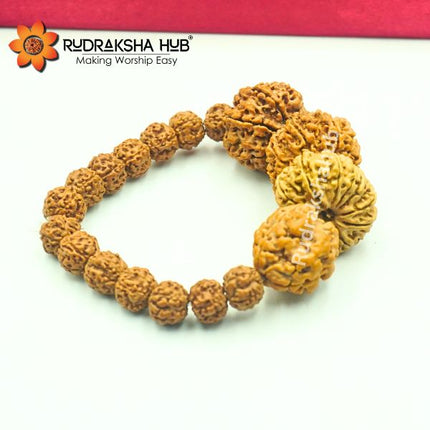 Rudraksha for Fertility Issues