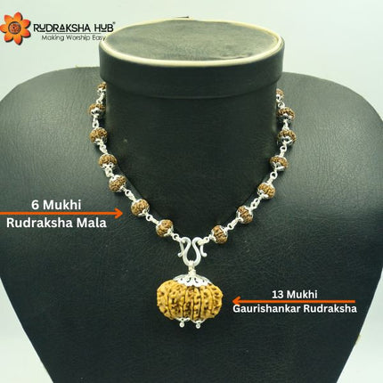 महिला प्रजनन क्षमता के लिए रुद्राक्ष
