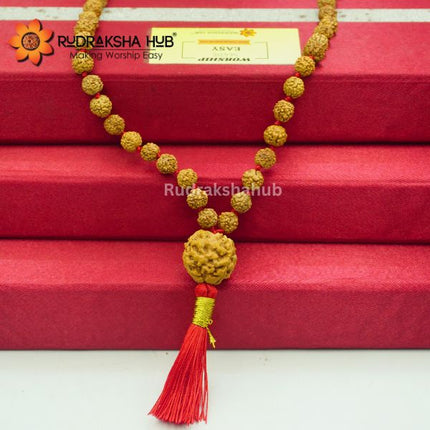 Rudraksha For Digestion
