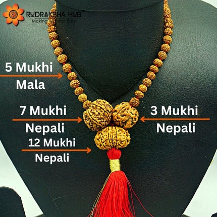 Rudraksha For Enemy Protection