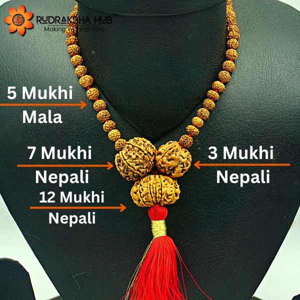 Rudraksha For Enemy Protection