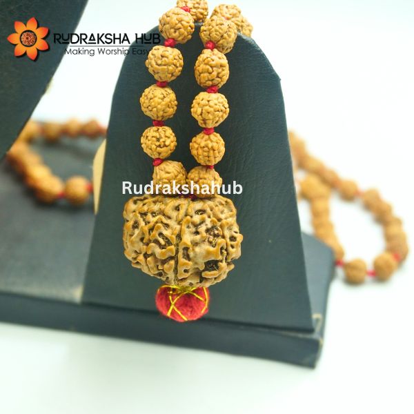 Rudraksha for Rahu Dosh