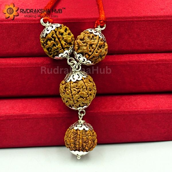 Rudraksha for Legal Issues