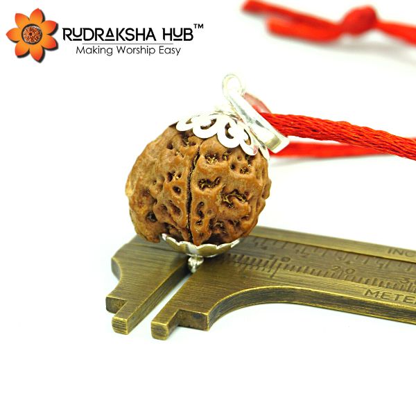7 Mukhi Ganesha Rudraksha Silver Pendant
