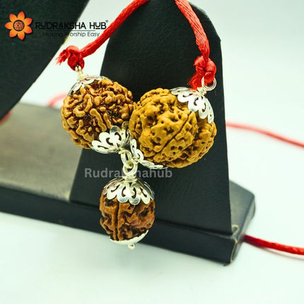 Rudraksha For Wealth