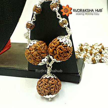 Rudraksha for Strong Jupiter