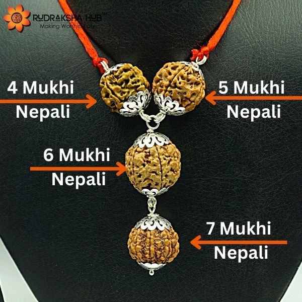 Rudraksha for Legal Issues