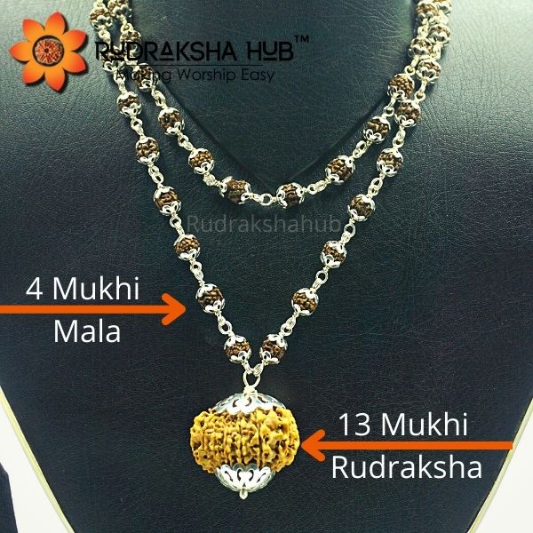 Rudraksha for Improved Fertility
