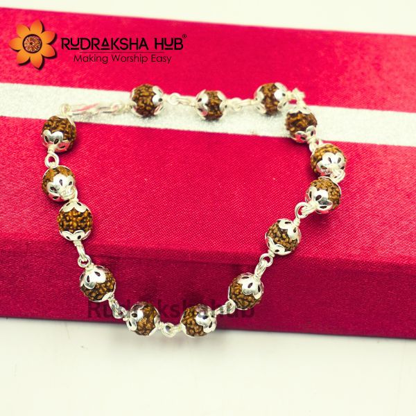 6 Mukhi Rudraksha Pure Silver Bracelet