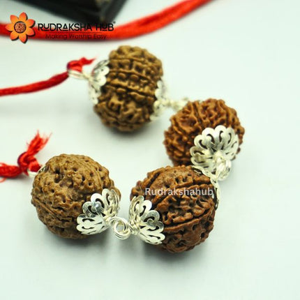 Rudraksha for Achievers