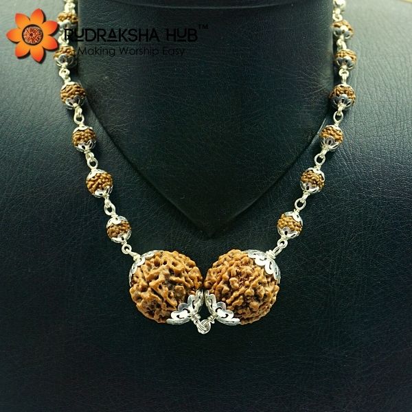 Rudraksha for Health and Wealth