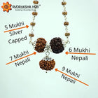 Rudraksha for working professionals