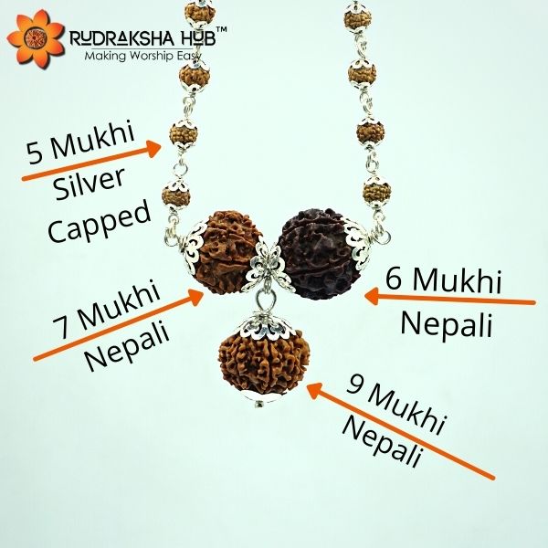 Rudraksha for working professionals