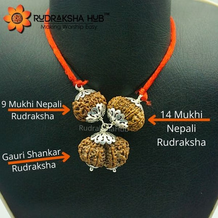 सुस्थिर वैवाहिक जीवन के लिए रुद्राक्ष