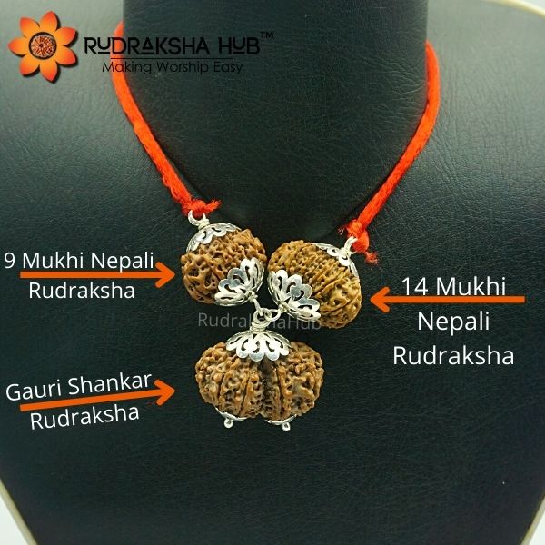 Rudraksha for Well Settled Married Life