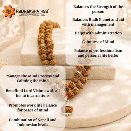 10 Mukhi Rudraksha Gurumala