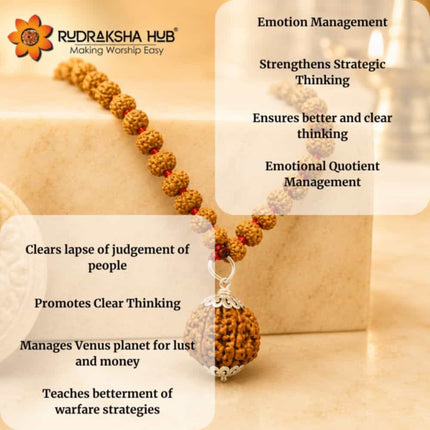 6 Mukhi Rudraksha Gurumala