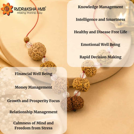 Rudraksha for Consultants