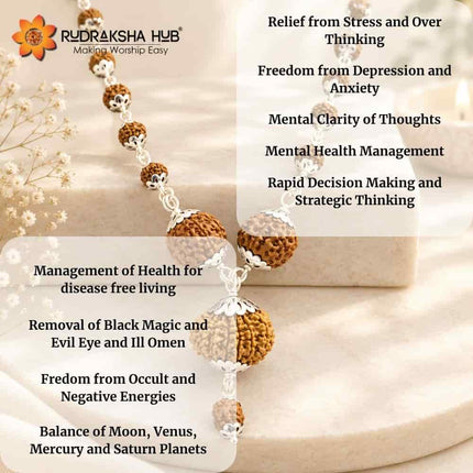 Rudraksha for Decision Making