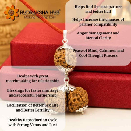 Rudraksha for Delayed Marriage