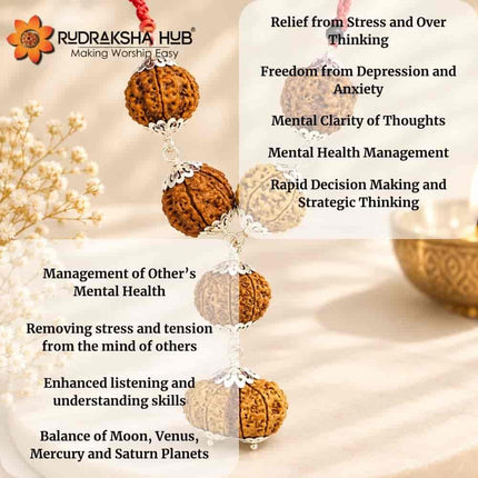 Rudraksha for Psychiatrist