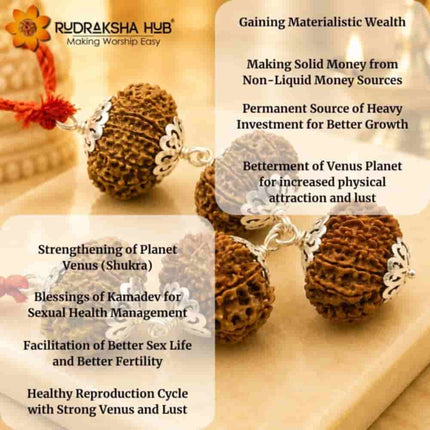 Rudraksha for Venus