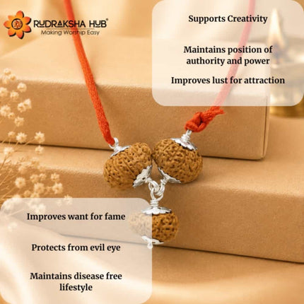 Rudraksha for Artists
