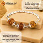 Rudraksha Bracelet for Job Promotion