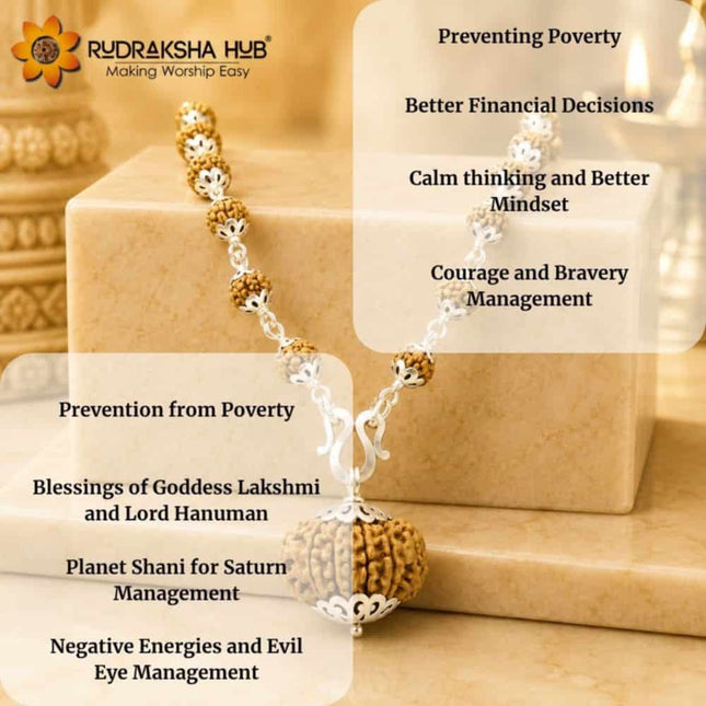 Money Magnet Rudraksha