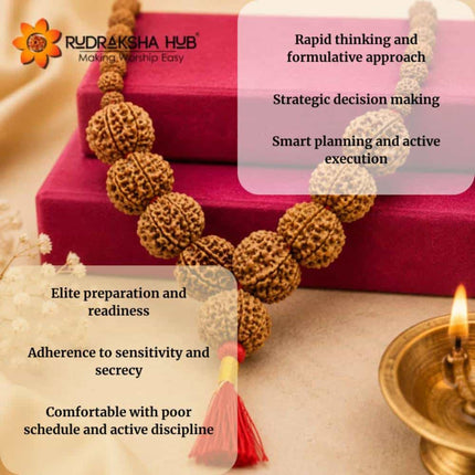 Rudraksha for Officers