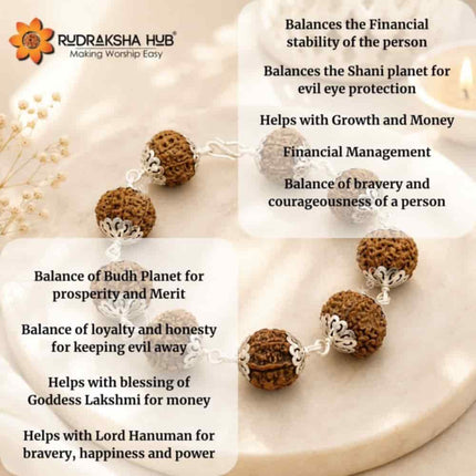 Rudraksha for Cash Flow