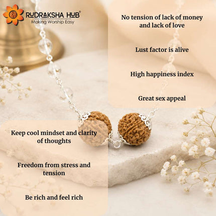 Rudraksha for Real Estate