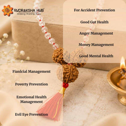 Rudraksha for Good Health, Peace, and Prosperity