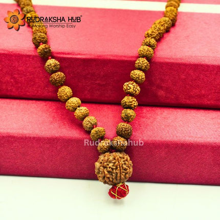7 Mukhi Rudraksha Guru Mala