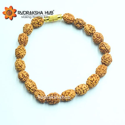 3 Mukhi Rudraksha Bracelet
