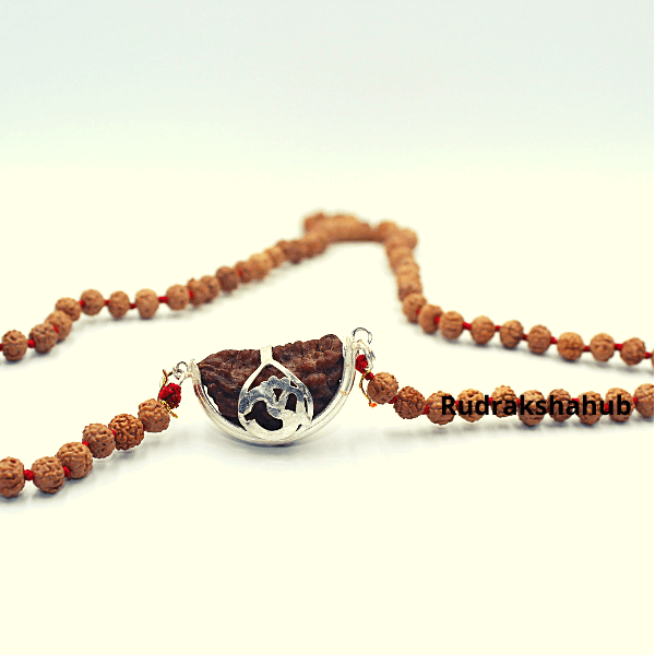 1 Mukhi Rudraksha Mala