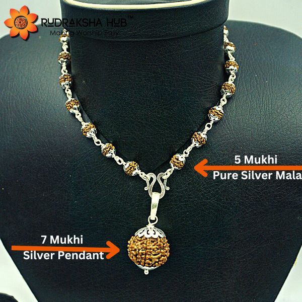 7 Mukhi Rudraksha pendant in Pure Silver Mala
