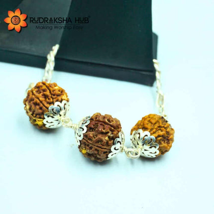 Rudraksha Bracelet for Job Promotion